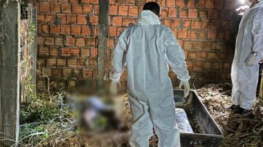 URGENTE: corpo em decomposição é encontrado coberto por capim em terreno