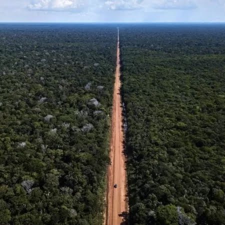 Você está visualizando atualmente O sonho chamado: ‘A pavimentação da BR-319’ está prestes a se realizar com a emissão de uma licença do IBAMA INFORMOU O GOVERNADOR