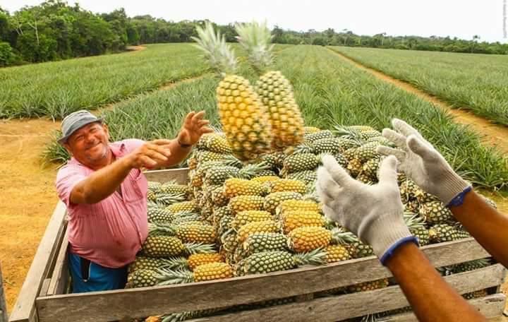 No momento, você está visualizando Governo do Amazonas repassou mais de R$ 22 milhões para interior do estado, no primeiro semestre