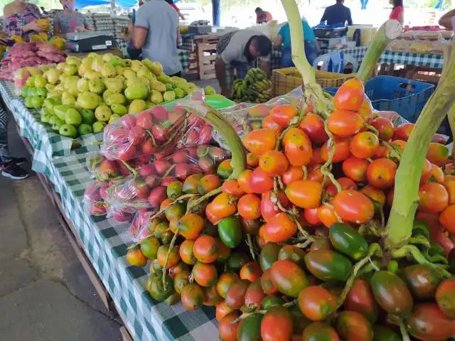 Leia mais sobre o artigo VITÓRIA SUPERMERCADOS PROMOVE FEIRA DE PRODUTOS REGIONAIS