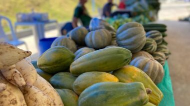 REDE VITÓRIA SUPERMERCADOS RETORNA COM FEIRA DE PRODUTORES REGIONAIS E PRAÇA DE ALIMENTAÇÃO NA UNIDADE TORQUATO.