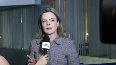 Gleisi associa ataque em escolas do ES a governo de Bolsonaro