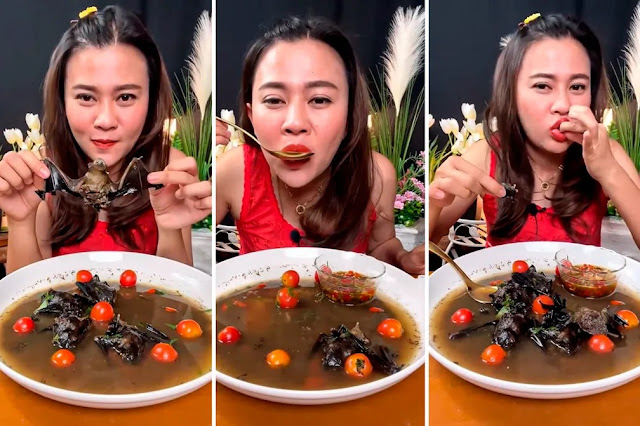 Leia mais sobre o artigo Influencer é presa após publicar vídeo tomando sopa de morcegos; assista