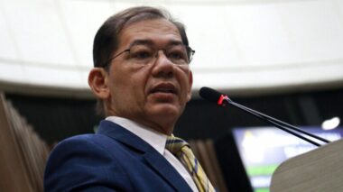 Ativista da causa animal, vereador Kennedy Marques apoia criação de espaço destinado a cães e gatos na CMM