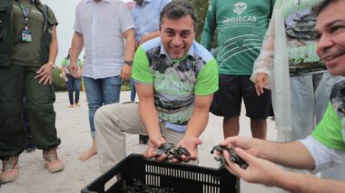 Governador Wilson Lima participa da soltura de 20 mil filhotes de quelônios que foram devolvidos à natureza