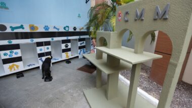 Caio André inaugura espaço pet para animais que vivem nas dependências da CMM