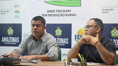 Idam e o Banco de Investimentos Alemão alinham parceria em favor do meio ambiente amazônico