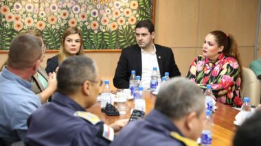 Integrantes de Comitê Interinstitucional e do Nise se reúnem com representantes de Escolas Particulares