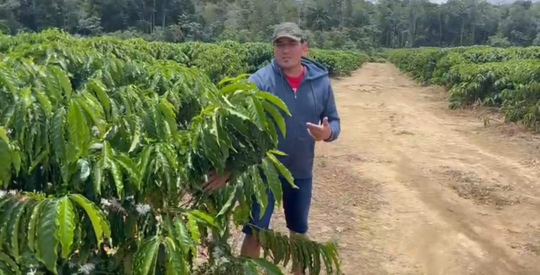 No momento, você está visualizando “Café Borba” é um novo projeto para o município de Borba