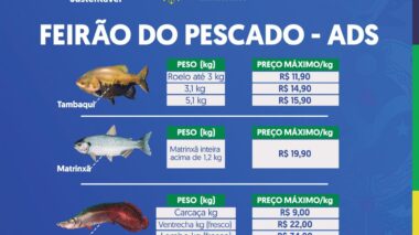 Feirão do Pescado deve comercializar 100 toneladas de peixe a partir desta quarta-feira