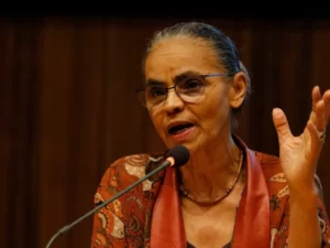 Leia mais sobre o artigo Marina Silva culpa Bolsonaro por recorde de desmatamento no governo Lula