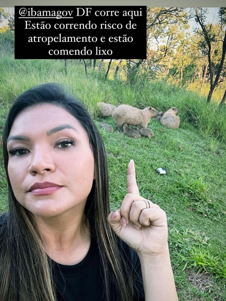 Leia mais sobre o artigo Joana Darc volta a cobrar do IBAMA situação envolvendo capivara