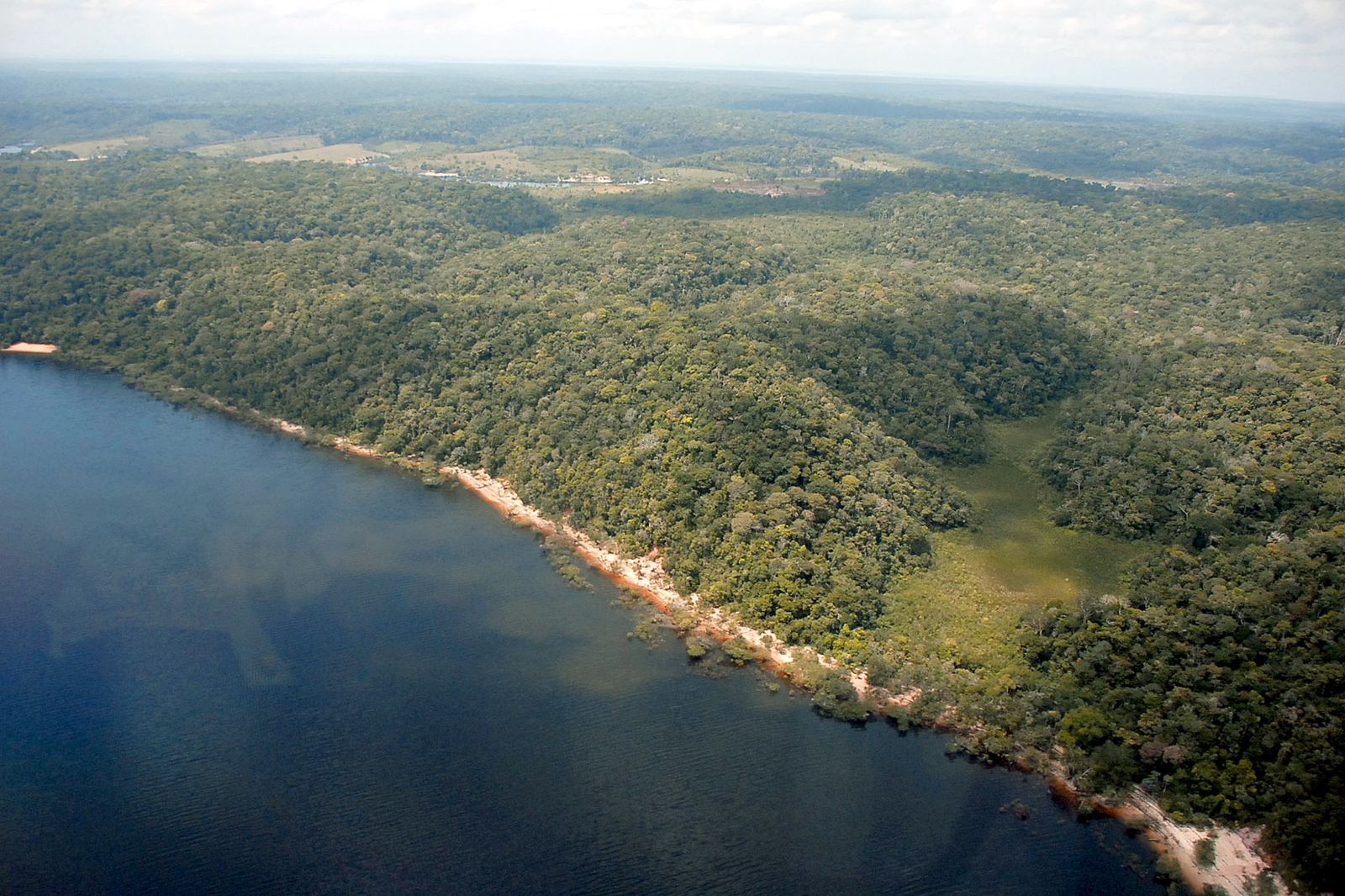 No momento, você está visualizando Desmatamento no Amazonas tem queda de 55% no primeiro semestre de 2023