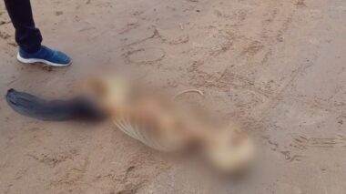 Esqueleto humano é encontrado na Praia da Ponta Negra em Manaus