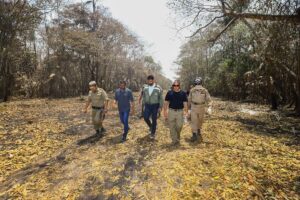 Leia mais sobre o artigo Wilson Lima apresenta balanço de ações contra queimadas, com quase 2 mil incêndios combatidos