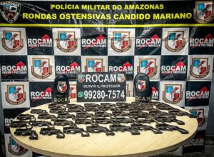 Leia mais sobre o artigo Em nove meses, Forças de Segurança apreenderam mais de 900 armas de fogo no Amazonas