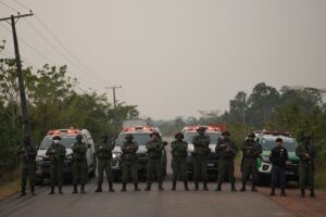 Leia mais sobre o artigo PMAM realiza prisões por crimes ambientais na Região Metropolitana de Manaus