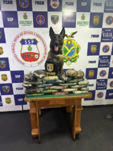 Leia mais sobre o artigo Base Arpão: SSP-AM apreende 30 quilos de drogas com auxílio de cadela policial, em Coari
