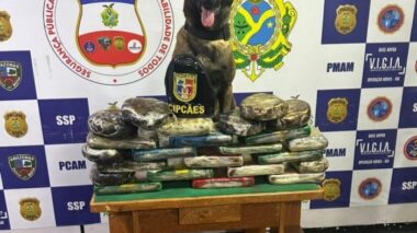 Base Arpão: SSP-AM apreende 30 quilos de drogas com auxílio de cadela policial, em Coari