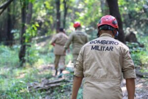 Leia mais sobre o artigo Bombeiros e Defesa Civil analisam margens do rio onde houve desbarrancamento em Beruri