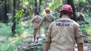 Bombeiros e Defesa Civil analisam margens do rio onde houve desbarrancamento em Beruri