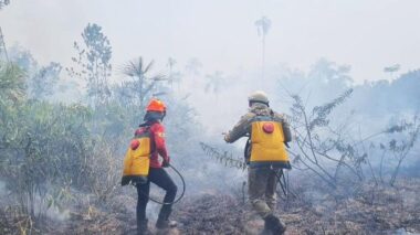 Aceiro 2023: Operação já combateu 2.074 incêndios no interior do estado
