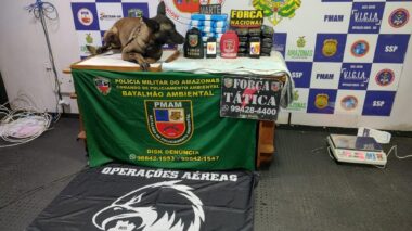 Base Arpão: Com apoio do cão de faro para narcótico, polícia apreende 40kg de pasta-base de cocaína em mesas de marcenaria em Coari