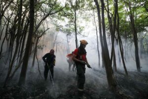 Leia mais sobre o artigo Medidas repressivas do Governo do Amazonas no combate a crimes ambientais resultam em ações de embargos, multas e infrações