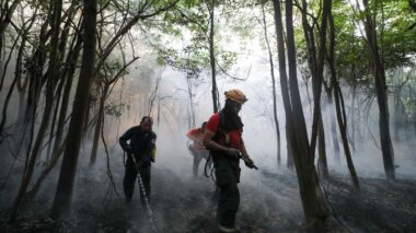 Medidas repressivas do Governo do Amazonas no combate a crimes ambientais resultam em ações de embargos, multas e infrações