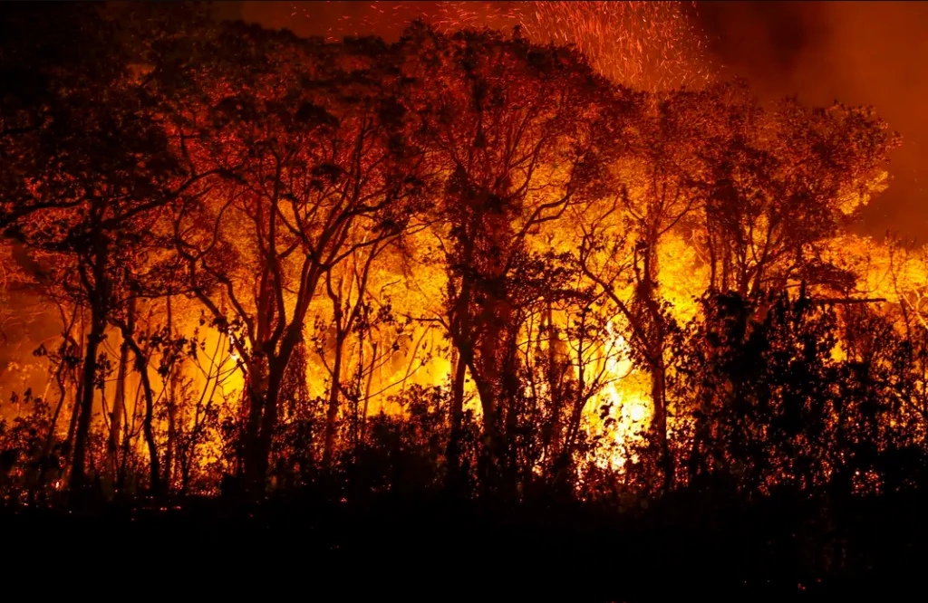 You are currently viewing Pantanal tem recorde histórico de incêndios em novembro