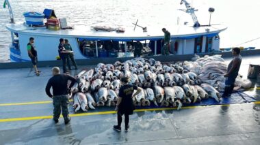 Base Arpão 1: SSP-AM apreende mais de 9 toneladas de pescado, em Coari