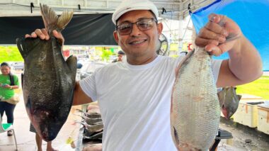 Feirão do Pescado 2024: Mais de 100 toneladas de peixes vão estar à venda em Manaus nos dias 27, 28 e 29 de março