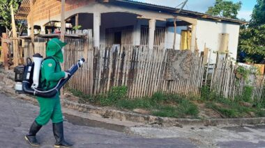 Trabalho contínuo: Amazonas é 8º no ranking nacional de menor incidência de dengue