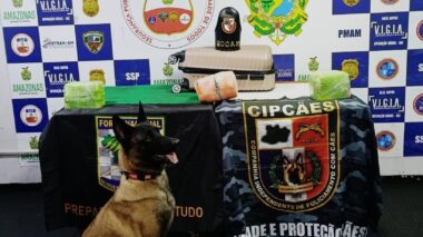 Em 24 horas, ações da Base Arpão 1 e 2 resultam em danos ao crime em mais de R$ 620 mil
