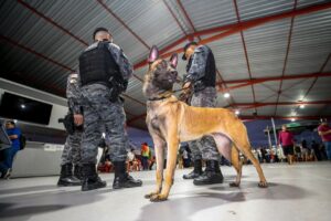 Leia mais sobre o artigo Cães de faro para narcóticos auxiliaram na apreensão de mais de meia tonelada de drogas em quatro meses