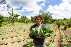 Leia mais sobre o artigo Governo do Amazonas apoia agricultores que tiveram perdas durante a última estiagem