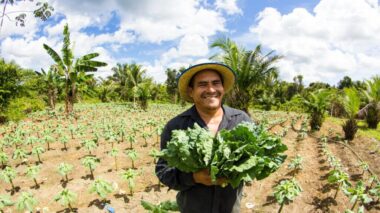 Governo do Amazonas apoia agricultores que tiveram perdas durante a última estiagem