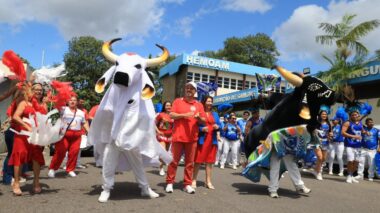 Com bois Caprichoso e Garantido, Hemoam lança “Junho Azul e Vermelho” para incentivar a doação de sangue