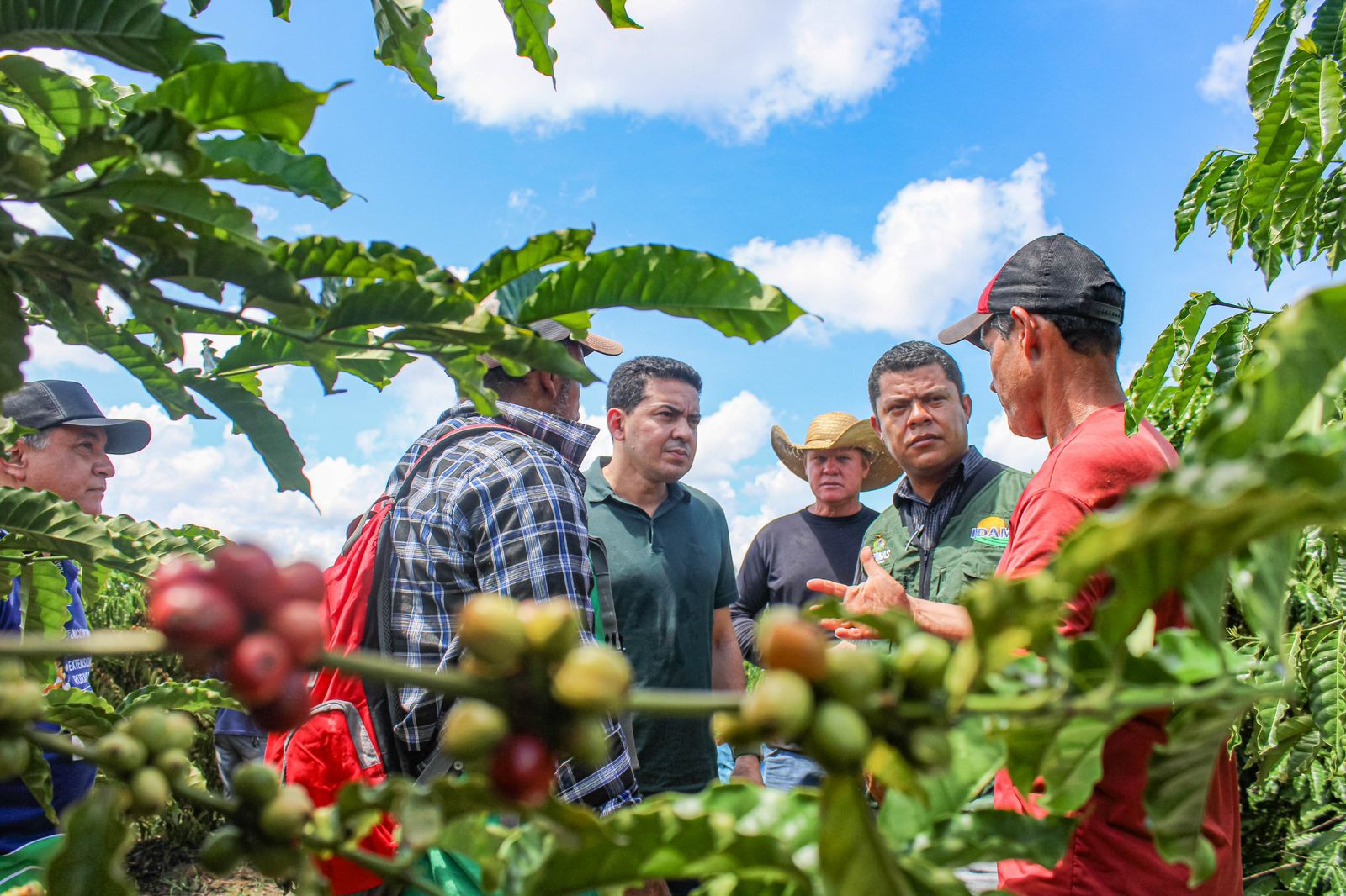 Você está visualizando atualmente Emendas parlamentares de Delegado Péricles seguem impulsionando produção de café no Distrito de Realidade