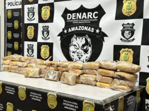 Leia mais sobre o artigo Em quase seis meses, Forças de Segurança do Amazonas apreenderam mais de 21 toneladas de drogas e retiraram de circulação mais de 700 armas de fogo