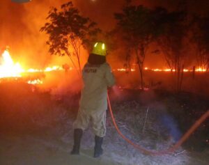 Leia mais sobre o artigo Nas últimas 24 horas, Corpo de Bombeiros combateu 70 focos de incêndio em Manicoré