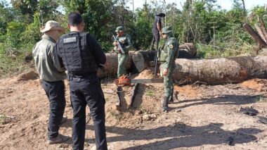 Operação Tamoiotatá aplicou mais de R$ 54 milhões em multa por crimes ambientais no sul do Amazonas