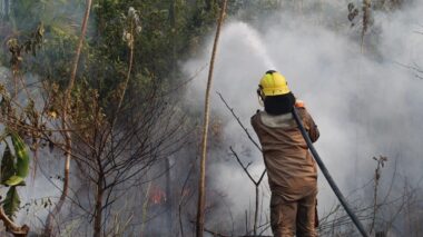 Em dois meses, Operação Aceiro 2024 combateu 4.276 focos de incêndios no interior