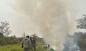 Leia mais sobre o artigo Em Lábrea, bombeiros combatem incêndio em vegetação nas proximidades do aeroporto