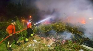 Leia mais sobre o artigo Operação Céu Limpo: nas últimas 24 horas, bombeiros combateram 14 incêndios em áreas de vegetação em Manaus