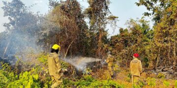 Em Iranduba, força-tarefa do Corpo de Bombeiros combate mais de 300 focos de incêndio em 24 horas