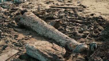 Descoberta Histórica em Tabatinga! Foram encontrados dois Canhões do Século XVIII pertencentes ao Forte São Francisco Xavier de Tabatinga.