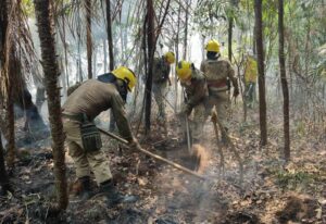 Leia mais sobre o artigo Em setembro, Corpo de Bombeiro combateu mais de 6,6 mil focos de incêndio no estado