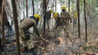 Em setembro, Corpo de Bombeiro combateu mais de 6,6 mil focos de incêndio no estado