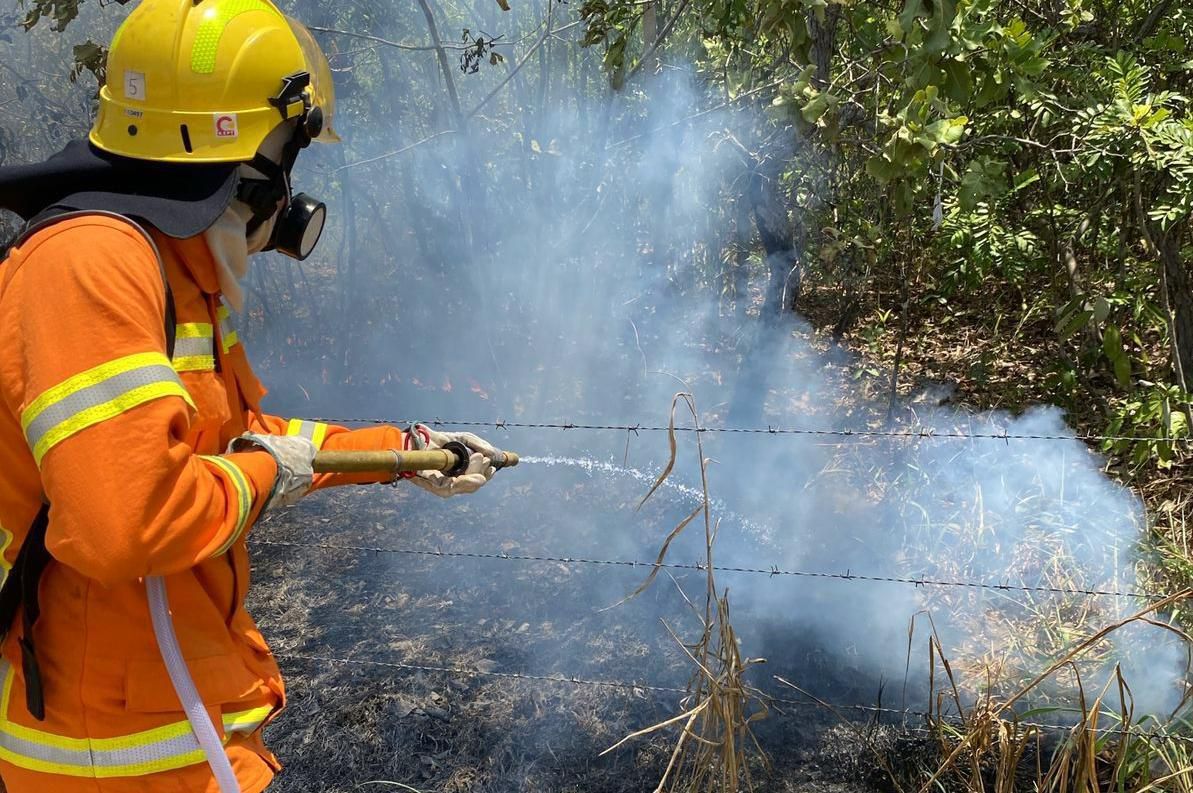 Você está visualizando atualmente Corpo de Bombeiros combateu mais de 20 mil focos de incêndio com as Operações Aceiro e Céu Limpo